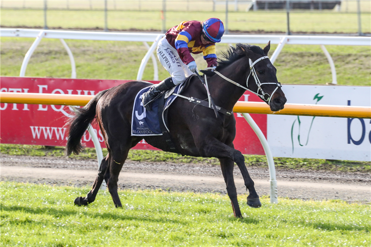 ZEEFA ZED winning the Pure Champion@willow Glen-Bm74