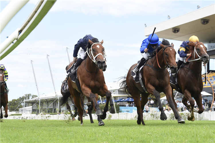 ZETHUS winning the Canonbury Stakes at Rosehill in Austrailia.