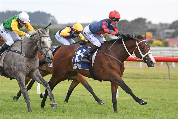 ZOLA EXPRESS winning the Steelform Roofing Wanganui Cup