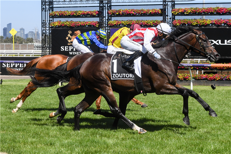 ZOUTORI winning the Newmarket Hcp at Flemington in Australia.