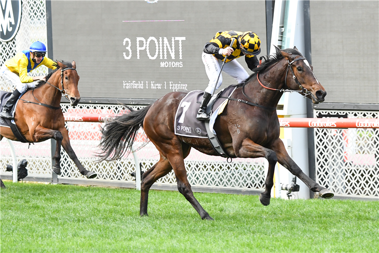 ZOUZARELLA winning the Atlantic Jewel Stakes at Moonee Valley in Australia.