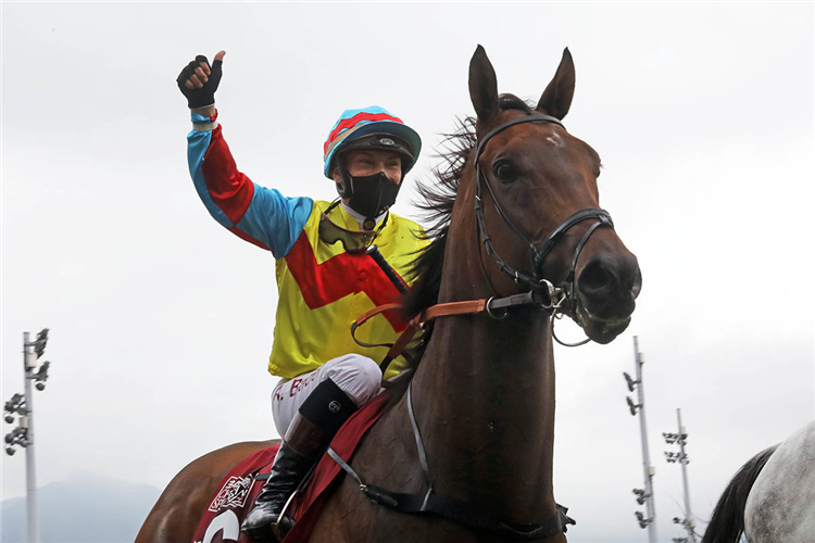 Alexis Badel celebrates the win.