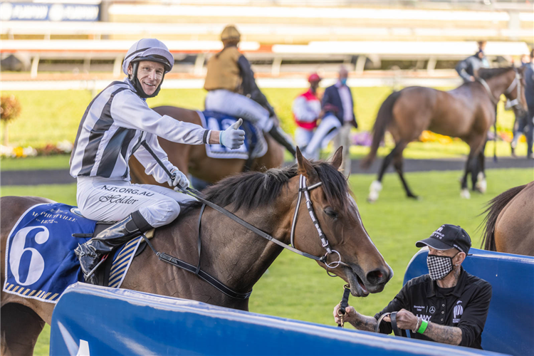 Jockey : JASON HOLDER.