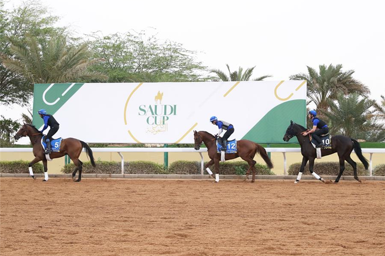 Horses galloping at King Abdulaziz Racetrack.