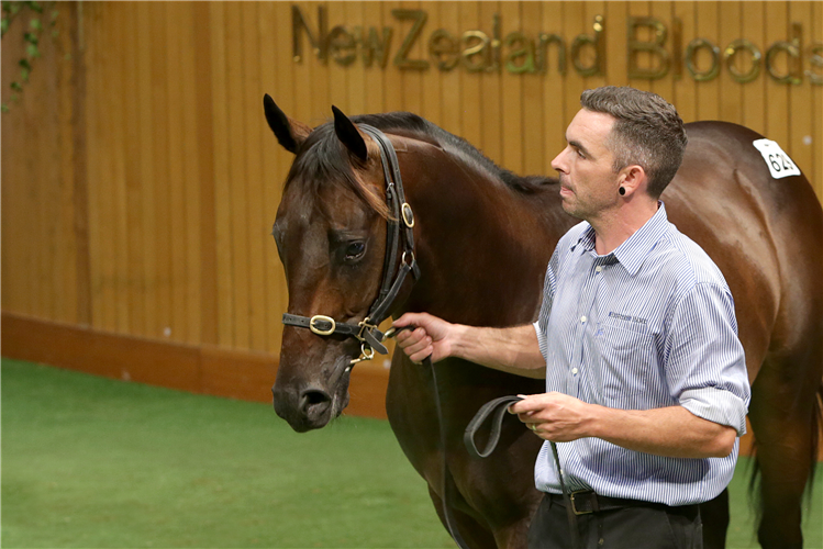 Hong Kong Derby (2000m) winner Sky Darci with Highden Park’s Sam Bleakley at the 2018 New Zealand Bloodstock Yearling Sales.
