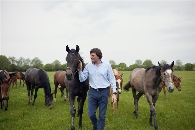 David Howden - Specialist in equine insurance solutions