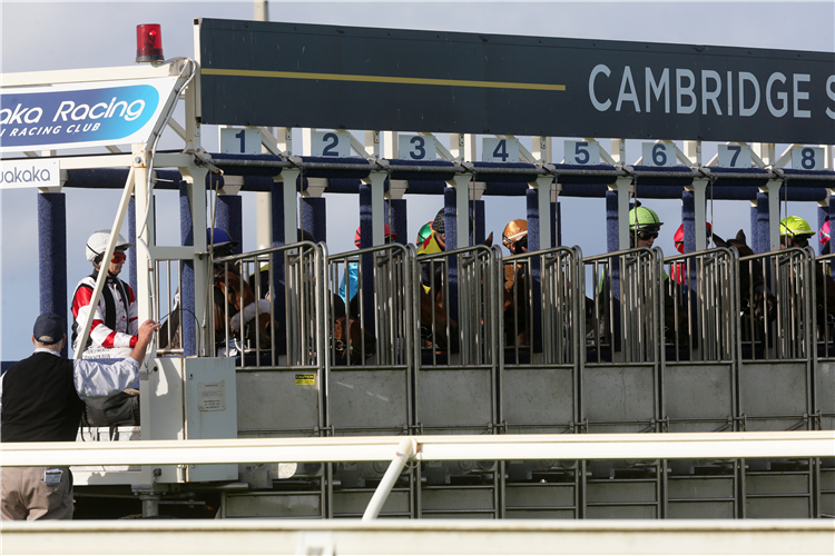 A fault with the starting gates caused mayhem during race 3 at Ruakaka<br />