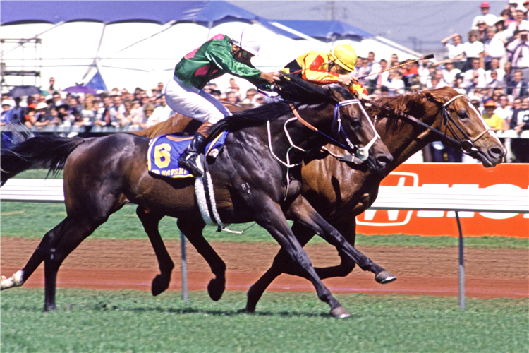 Empire Rose (inside) narrowly defeats Natski in the 1988 Melbourne Cup