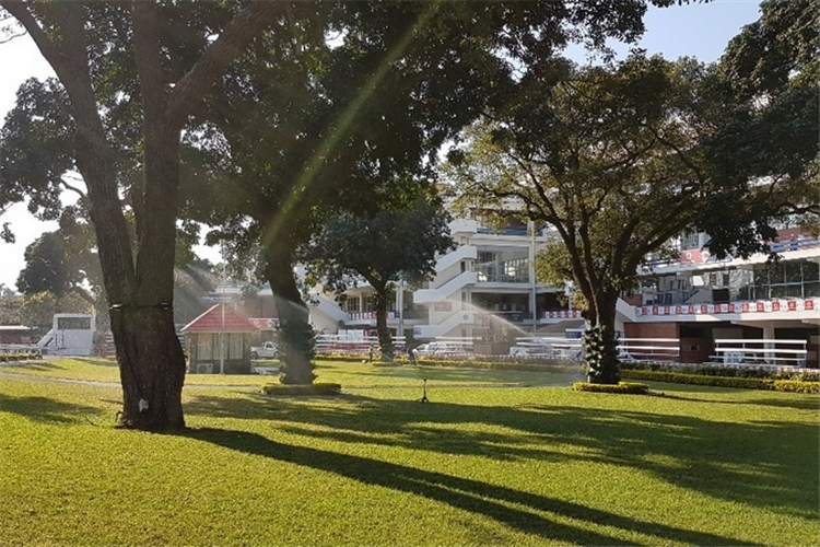 Greyville Racecourse’s famed mounting yard