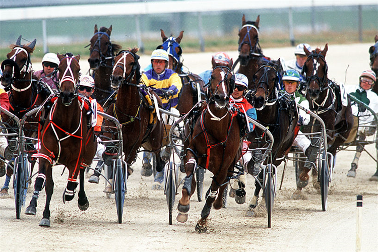 French Trotting Racing And Sports