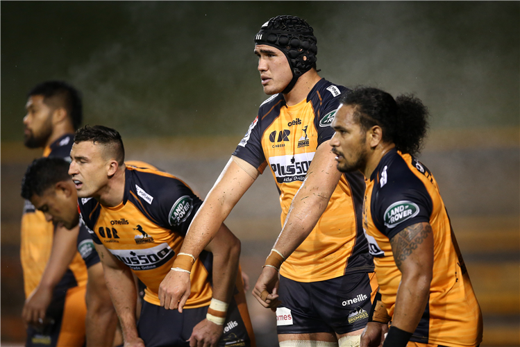 Brumbies at Leichhardt Oval.
