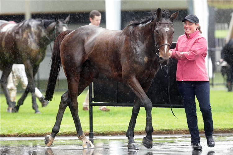Corrina McDougal, pictured with No Tip after an Ellerslie steeplechase win in June, has plenty to smile about.
