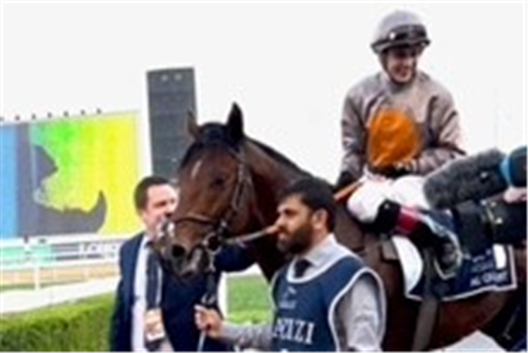 A CASE OF YOU winning the Al Quoz Sprint Sponsored By Azizi Developments