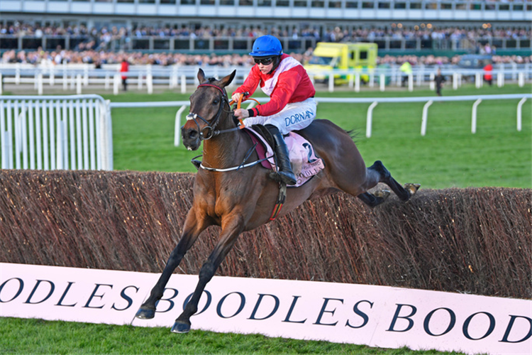 A PLUS TARD winning the Cheltenham Gold Cup Chase.