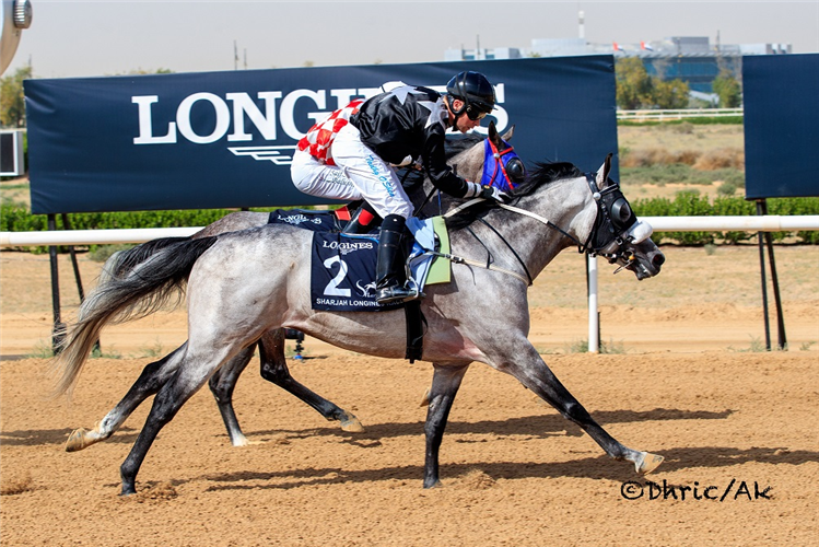 AF YENOMES winning the The Longines Record
