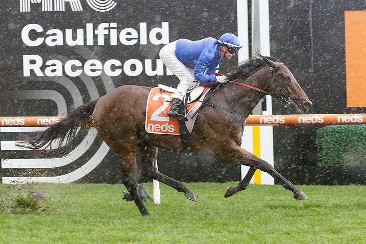 AFT CABIN winning the Neds Caulfield Guineas Prelude