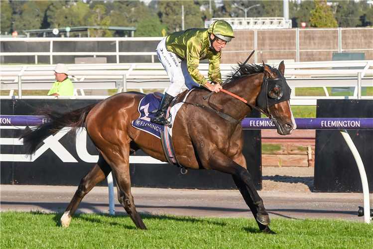 ALEGRON winning the VRC St Leger in Flemington, Australia.