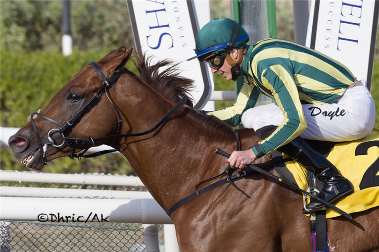 ALGIERS winning the Jebel Ali Mile Sponsored By Shadwell.