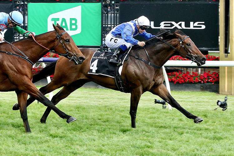 ALLIGATOR BLOOD winning the Kennedy Champions Mile