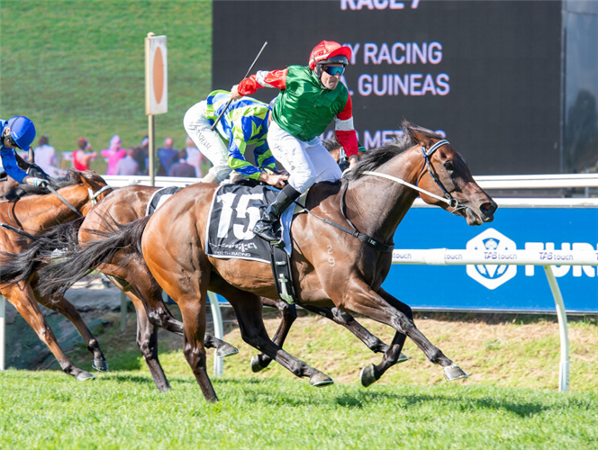 AMELIA'S JEWEL winning the Sky Racing - W.A. Guineas