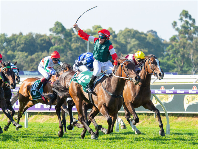 AMELIA'S JEWEL winning the Drummond Golf - Northerly Stakes