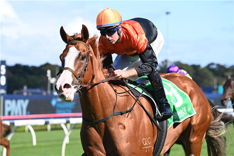 AMERICAN PRESIDENT winning the Grainshaker Vodka (Bm72) at Randwick in Australia.