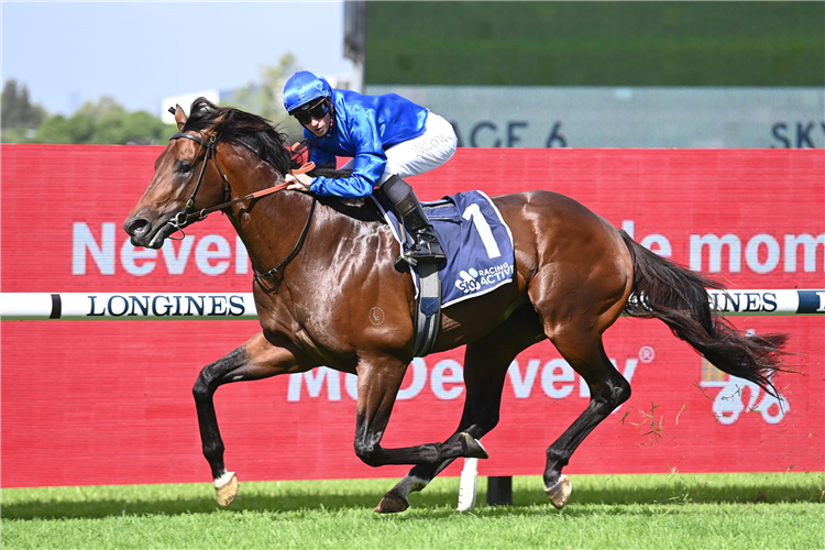 ANAMOE winning the Sky Racing Rosehill Gneas at Rosehill in Australia.