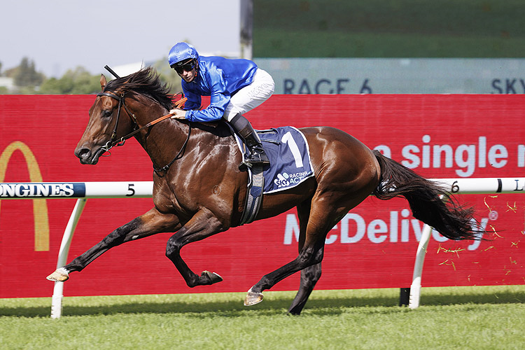 ANAMOE winning the Sky Racing Rosehill Gneas