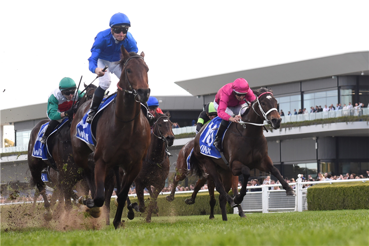 ANAMOE winning at Randwick