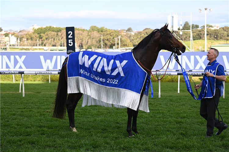 Ladbrokes Blog 2023 Winx Stakes Day Preview Racing and Sports