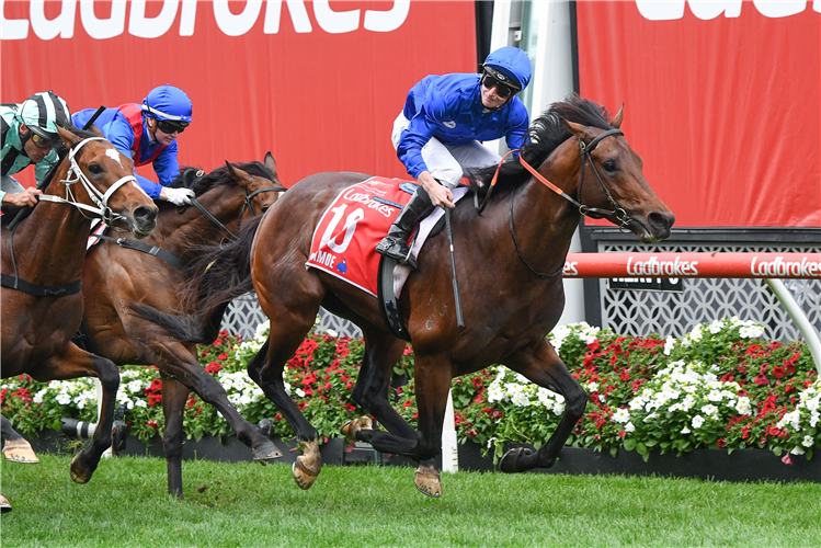 ANAMOE winning the Ladbrokes Cox Plate at Moonee Valley in Australia.