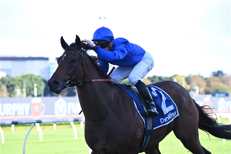 ANDERMATT winning the Furphy (Bm94) at Randwick in Australia.