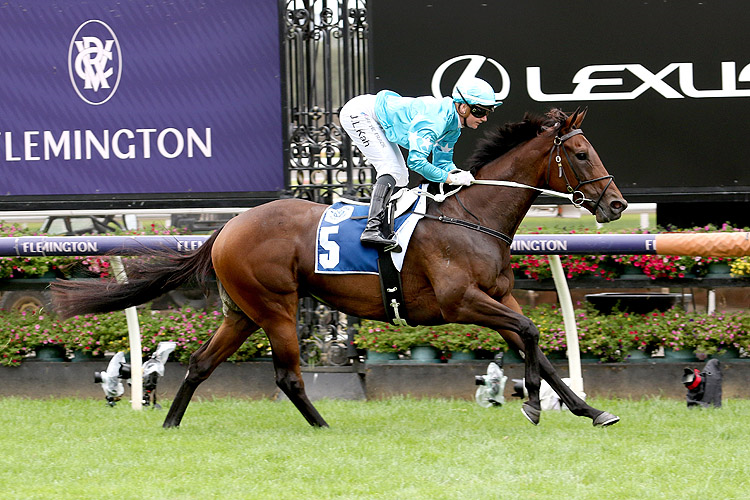 ANNAVISTO winning the Furphy Frances Tressady Stakes