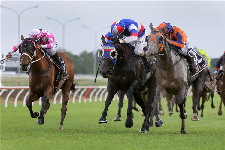 AROMATIC winning the PUKEKOHE TRADERS COUNTIES CUP