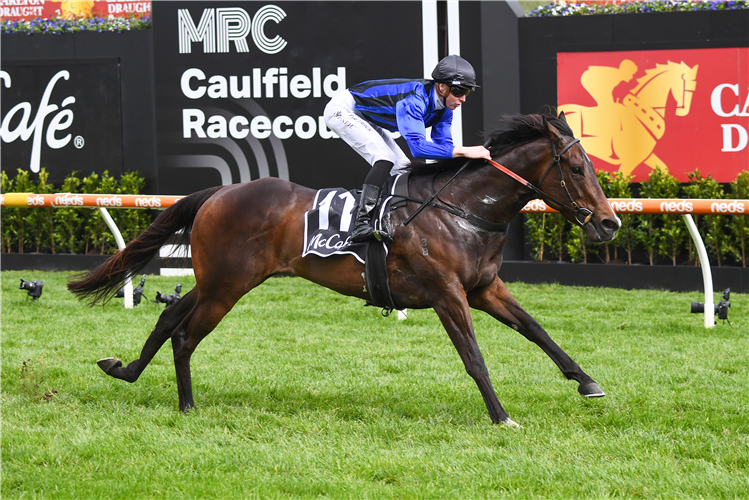 ASFOORA winning the McCafe' Sprint at Caulfield in Australia.