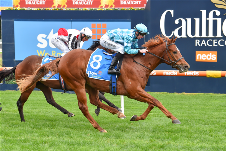 ATLANTIS TYCOON winning the Stow Storage Solutions Hcp at Caulfield in Australia.
