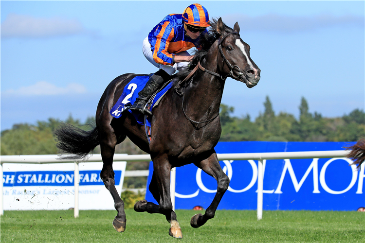 Auguste Rodin ridden by Ryan Moore wins the KPMG Champions Juvenile Stakes