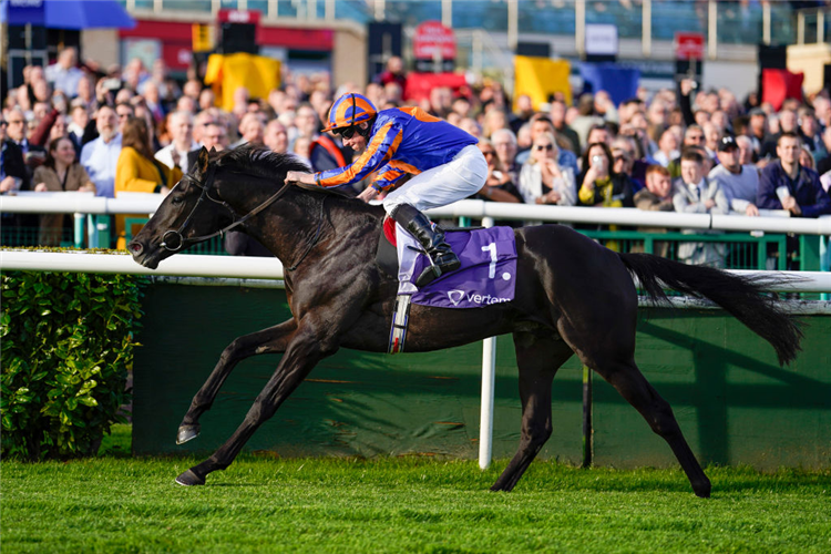 AUGUSTE RODIN winning the Futurity Trophy Stakes at Doncaster in England.