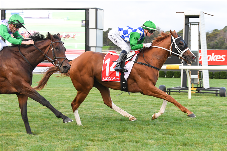 AUSTRATA winning the Tobin Brothers Celebrating Lives Handicap at Ladbrokes Park Hillside in Springvale, Australia.