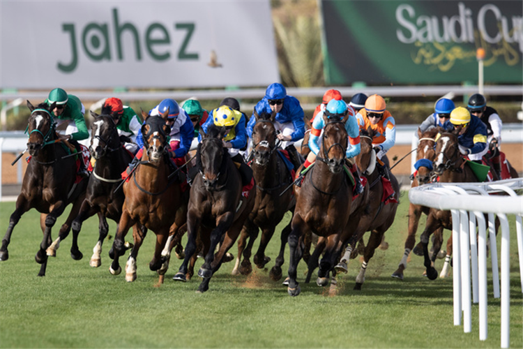 AUTHORITY (blue & red) winning the Neom Turf Cup.