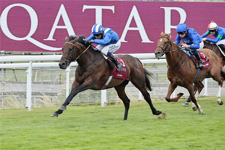 BAAEED winning the Sussex Stakes.