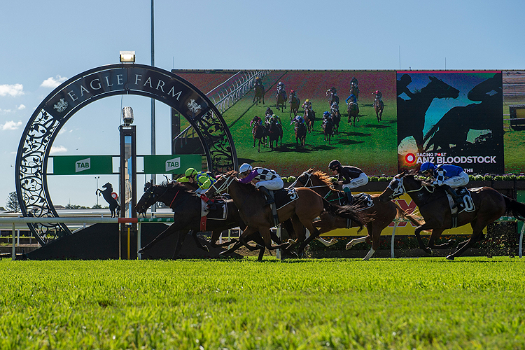 BARB RAIDER winning the Anz Bloodstock News The Roses
