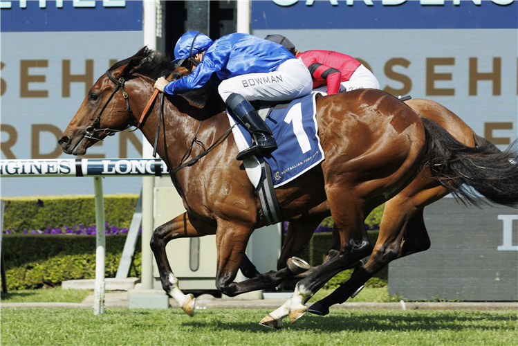 Barber From Last To First In The Golden Gift Racing and Sports