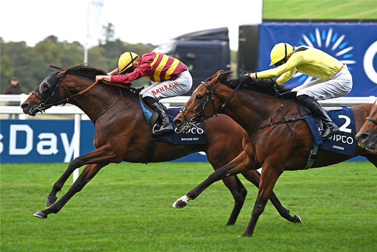 BAYSIDE BOY winning the Queen Elizabeth II Stakes (Sponsored By Qipco) (Group 1) (British Champions Mile) (Str)