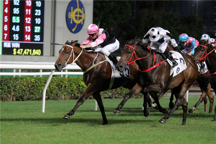 Chevalier Cup Test For Beautyverse Against Longines Hkir Runners