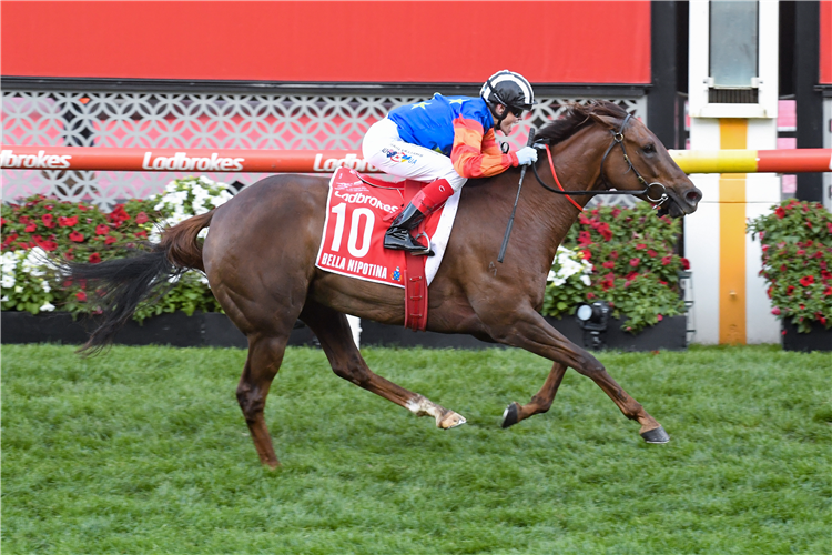 BELLA NIPOTINA winning the Ladbrokes Manikato Stakes at Moonee Valley in Australia.