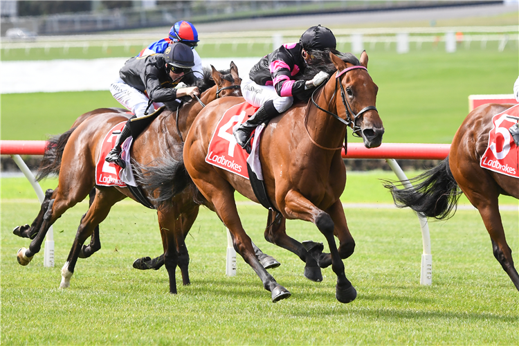 BELLE SAVOIR winning the Ladbrokes Switch Handicap at Ladbrokes Park Hillside in Springvale, Australia.