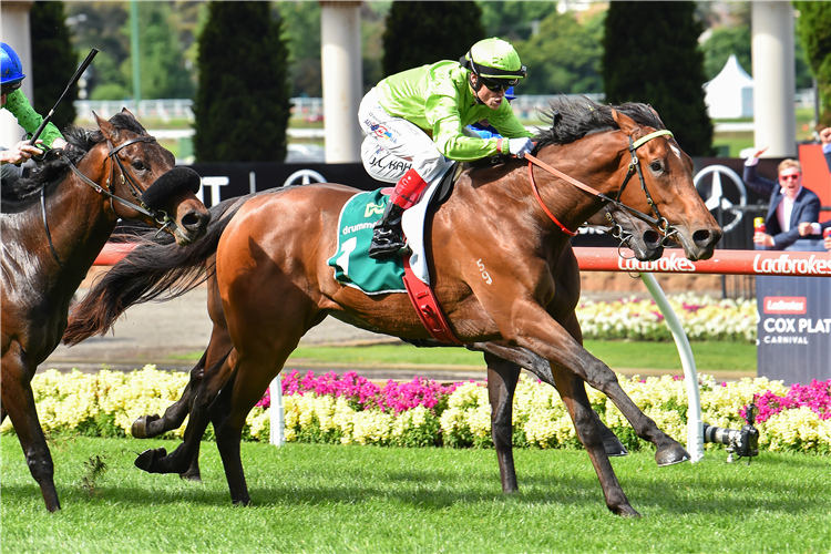 BERKELEY SQUARE winning the Drummond Golf Vase at Moonee Valley in Australia.