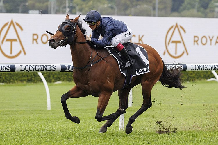 BEST OF BORDEAUX winning the POLYTRACK ROMAN CONSUL STAKES.