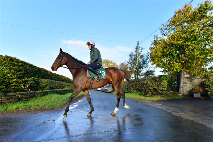 Billaway and groom Luke Turner pictured heading for the gallops at Champion Trainer Willie Mullins yard ahead of the new National Hunt Season.
